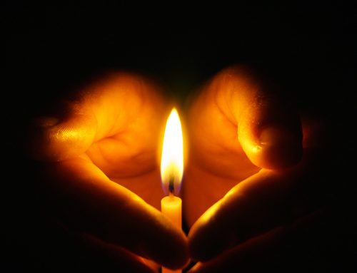 Aktionskreis Fulda in der Aktion Leben e.V. lädt zum Rosenkranzgebet am 28. Dezember 2025